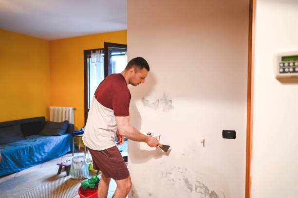 Best Preventive Mold Services in Nassau Bay, TX